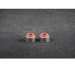 SEAL, VALVE STEM