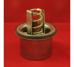 THERMOSTAT, 160F