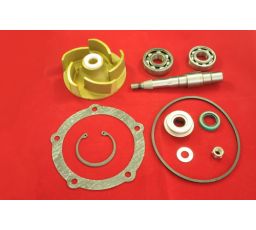 REPAIR KIT,WP STD(SEE OEM)