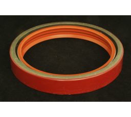 SEAL, C/S REAR DBL LIP