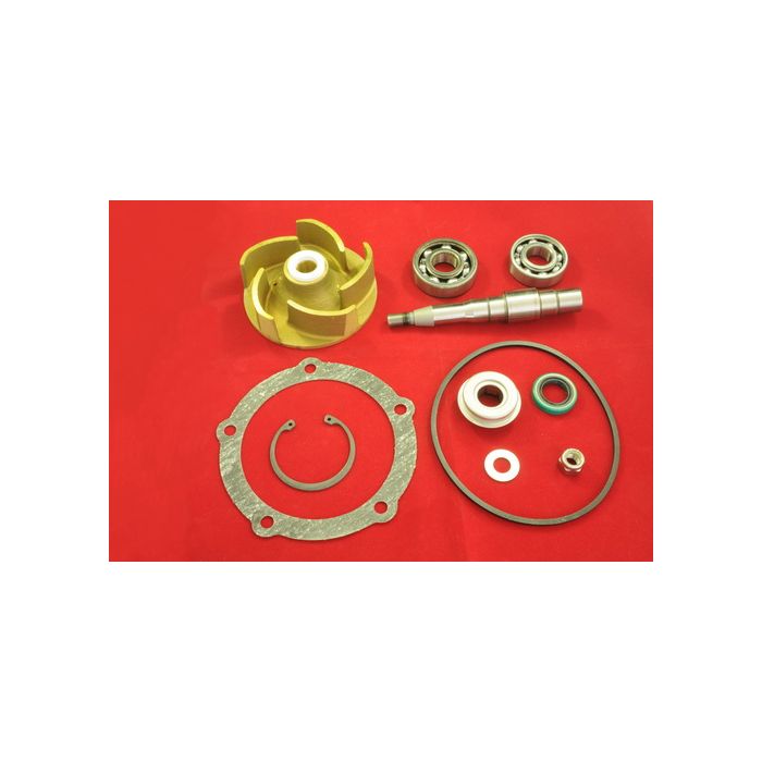 REPAIR KIT,WP STD(SEE OEM)