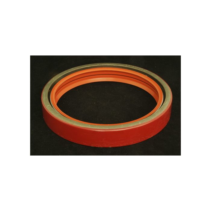 SEAL, C/S REAR DBL LIP